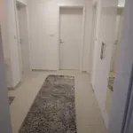 Derek * ポスシエ